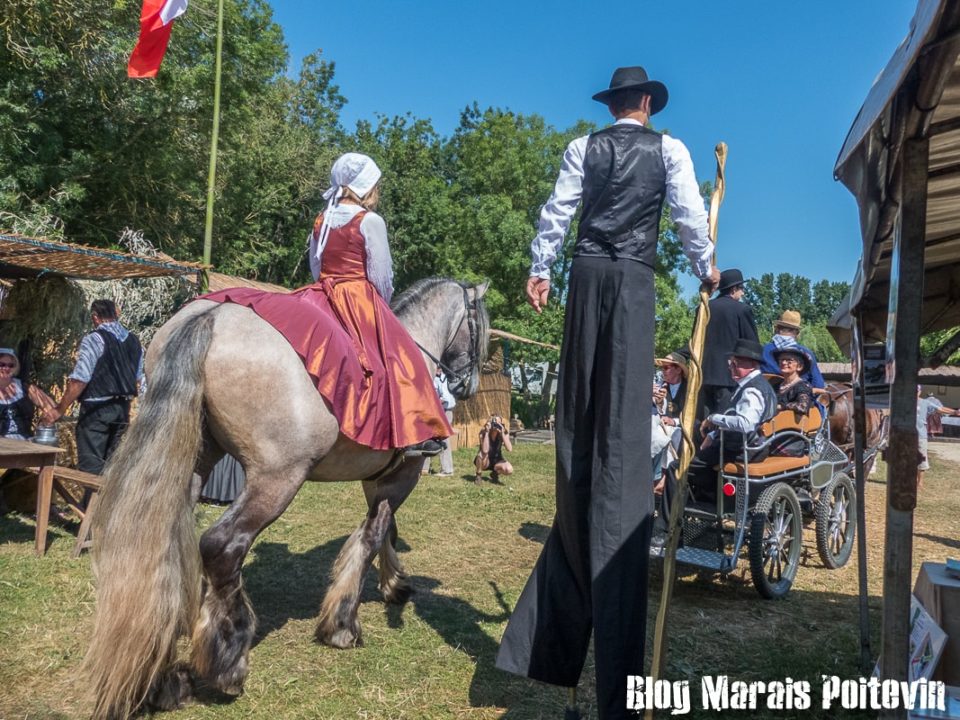 Fete du mijet coulon juillet 2018 cheval et maraîchin sur échasses marais poitevin - 1