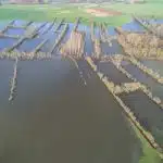 Le Marais poitevin à l’heure de l’évail